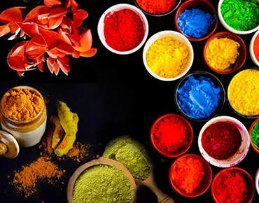 Natural Color Festival Powder