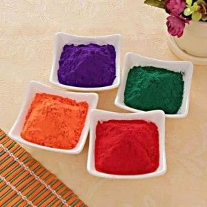 Holi Gulal Powder Supplier in Europe
