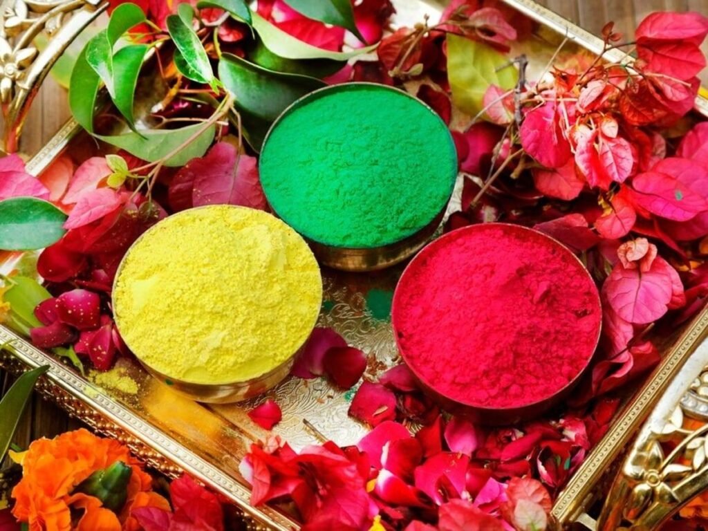 Organic Color Powder Manufacturer for Holi Requirements
