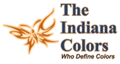 the indian color